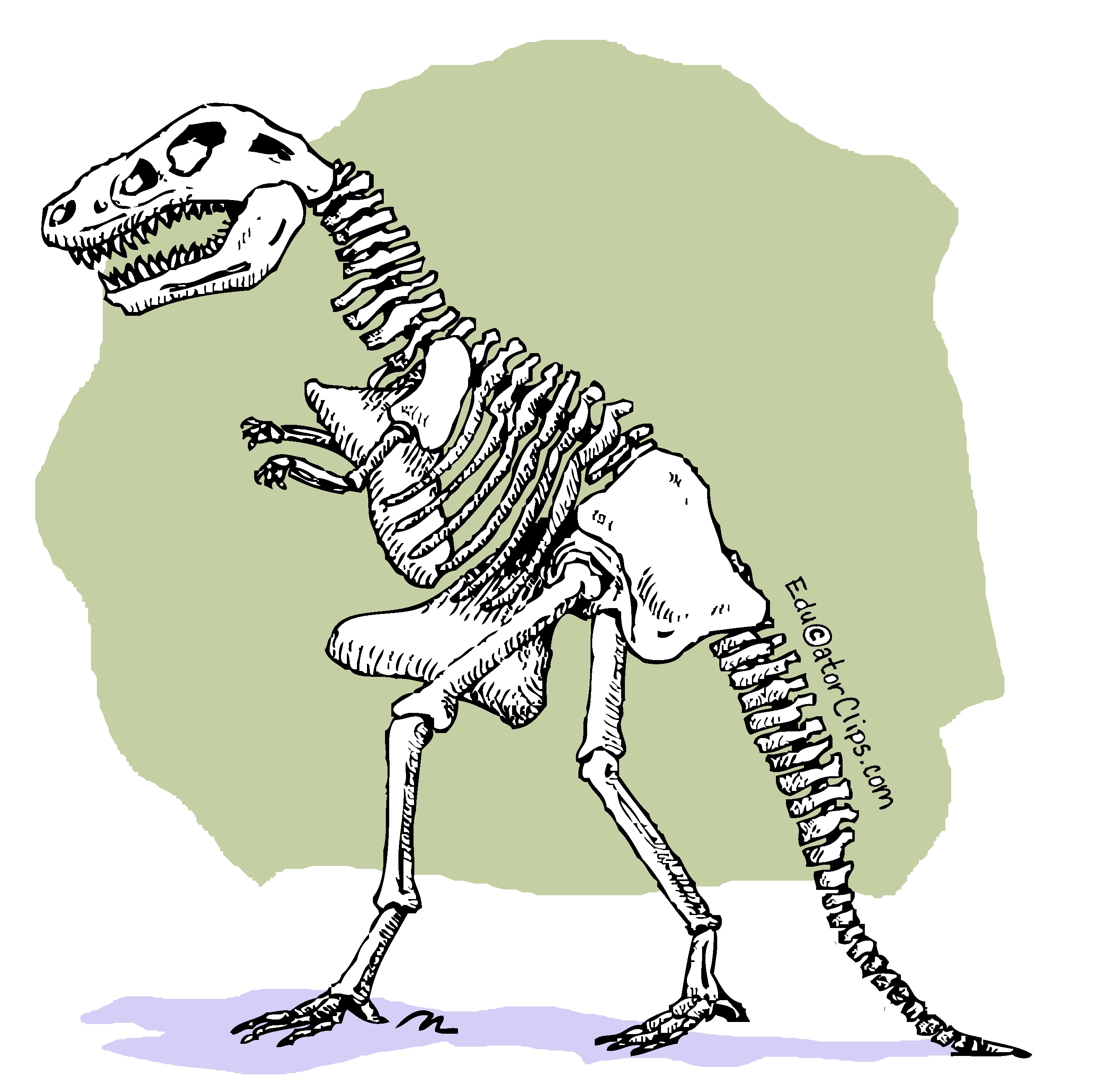 Dinosaur Skeleton Clip Art