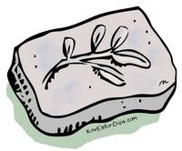 Fossil Clip Art